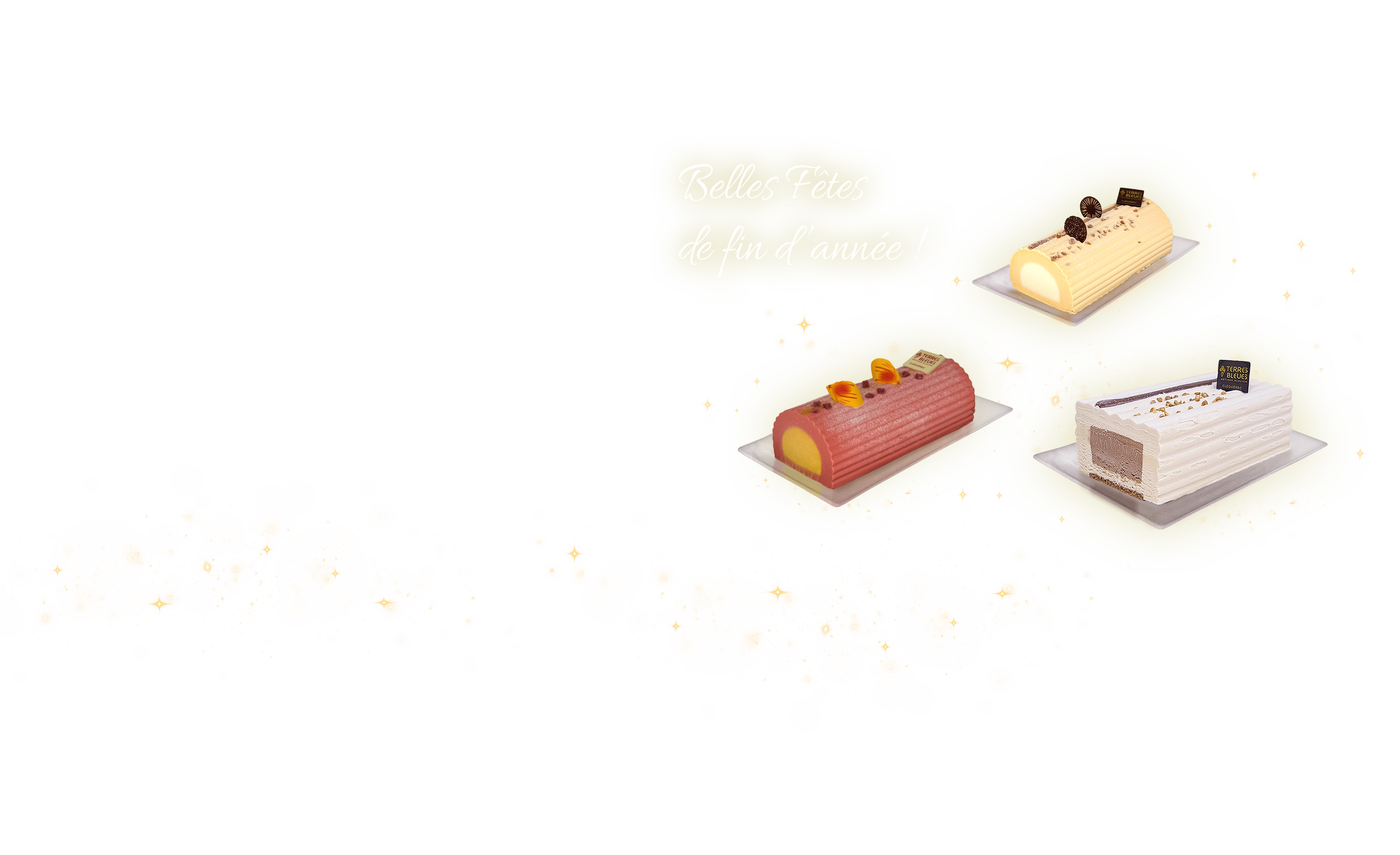 Glaces et Crèmes glacées Terres Bleues