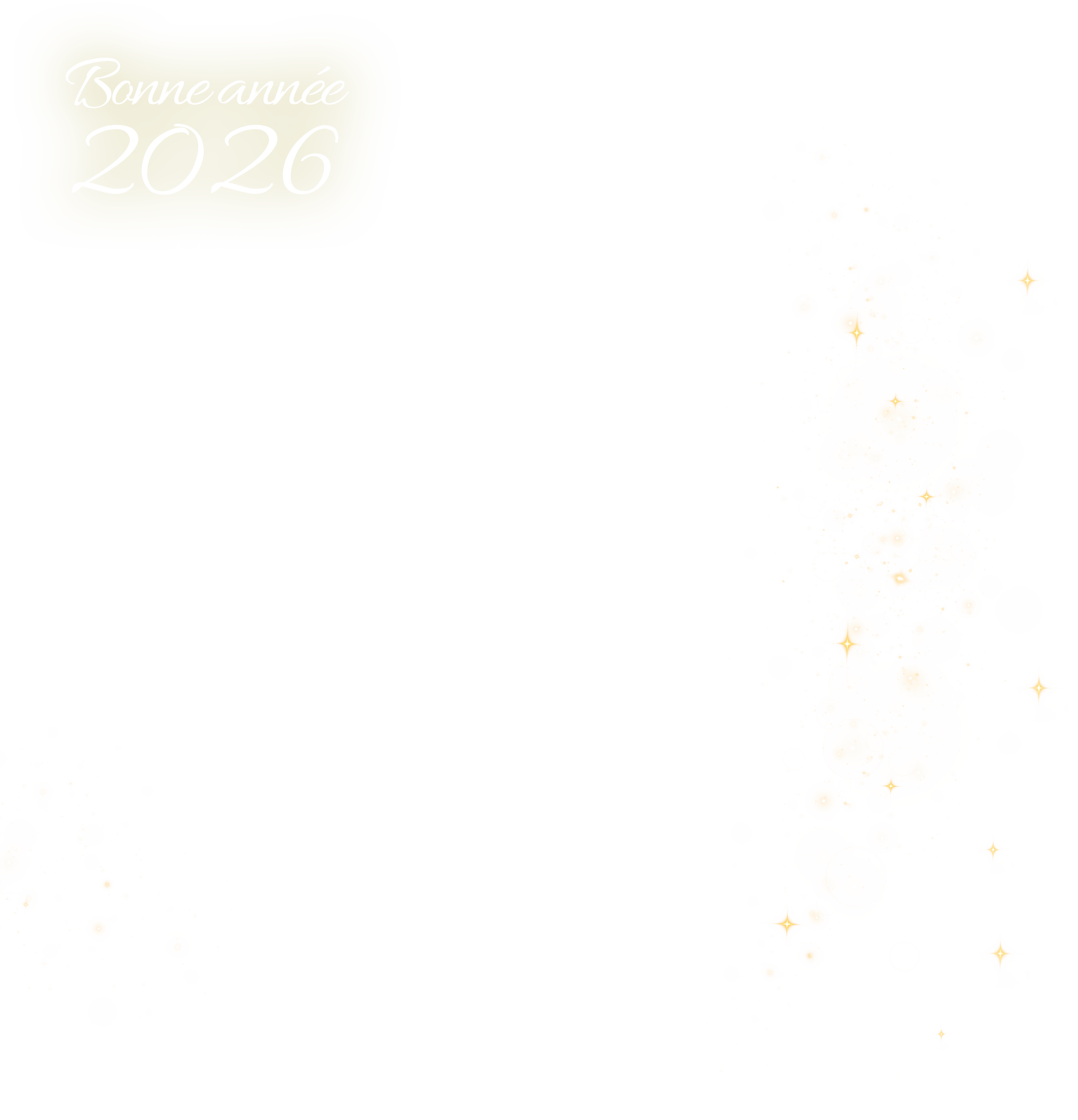 Visuel de "Bonne Année" de la marque Terres Bleues