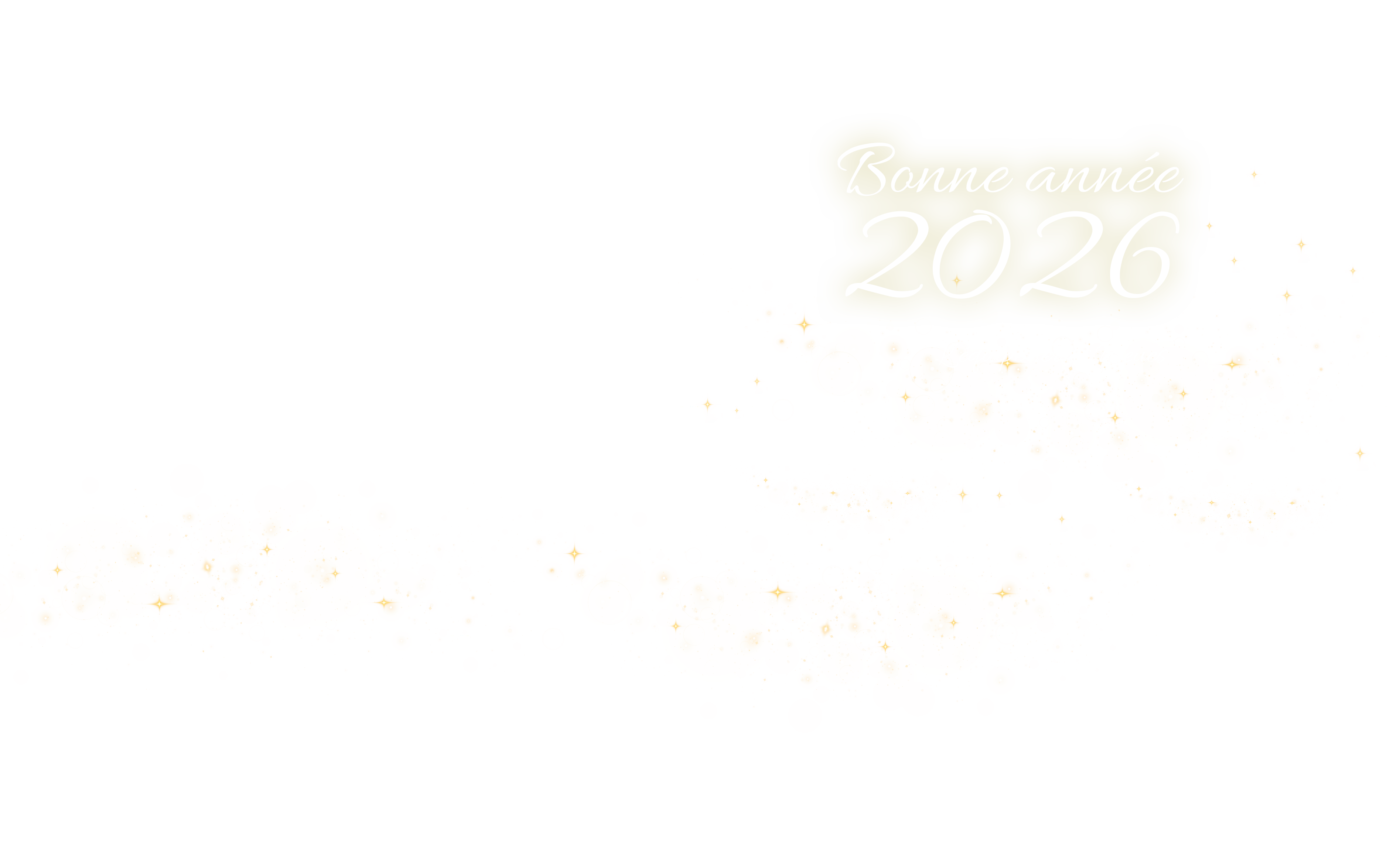 Visuel de "Bonne Année" de la marque Terres Bleues