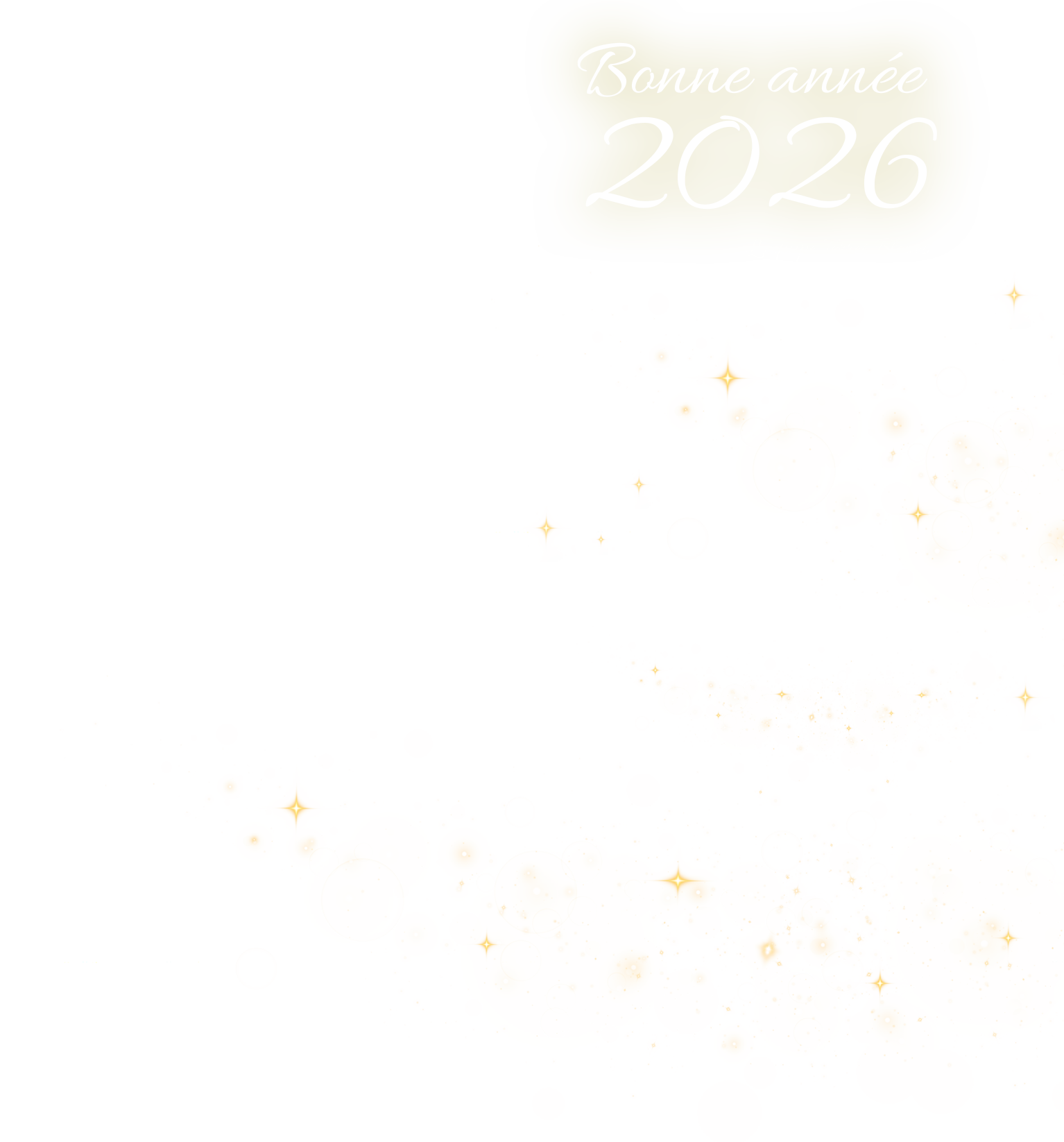 Visuel de "Bonne Année" de la marque Terres Bleues